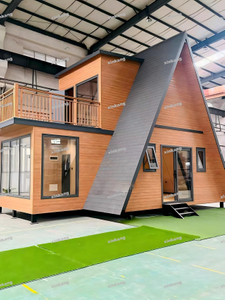 Triangle Roof House with Terrace