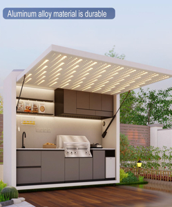 Modern Stainless Steel Kitchen Cabinet for Outdoor Furniture with Shed for Guesthouse